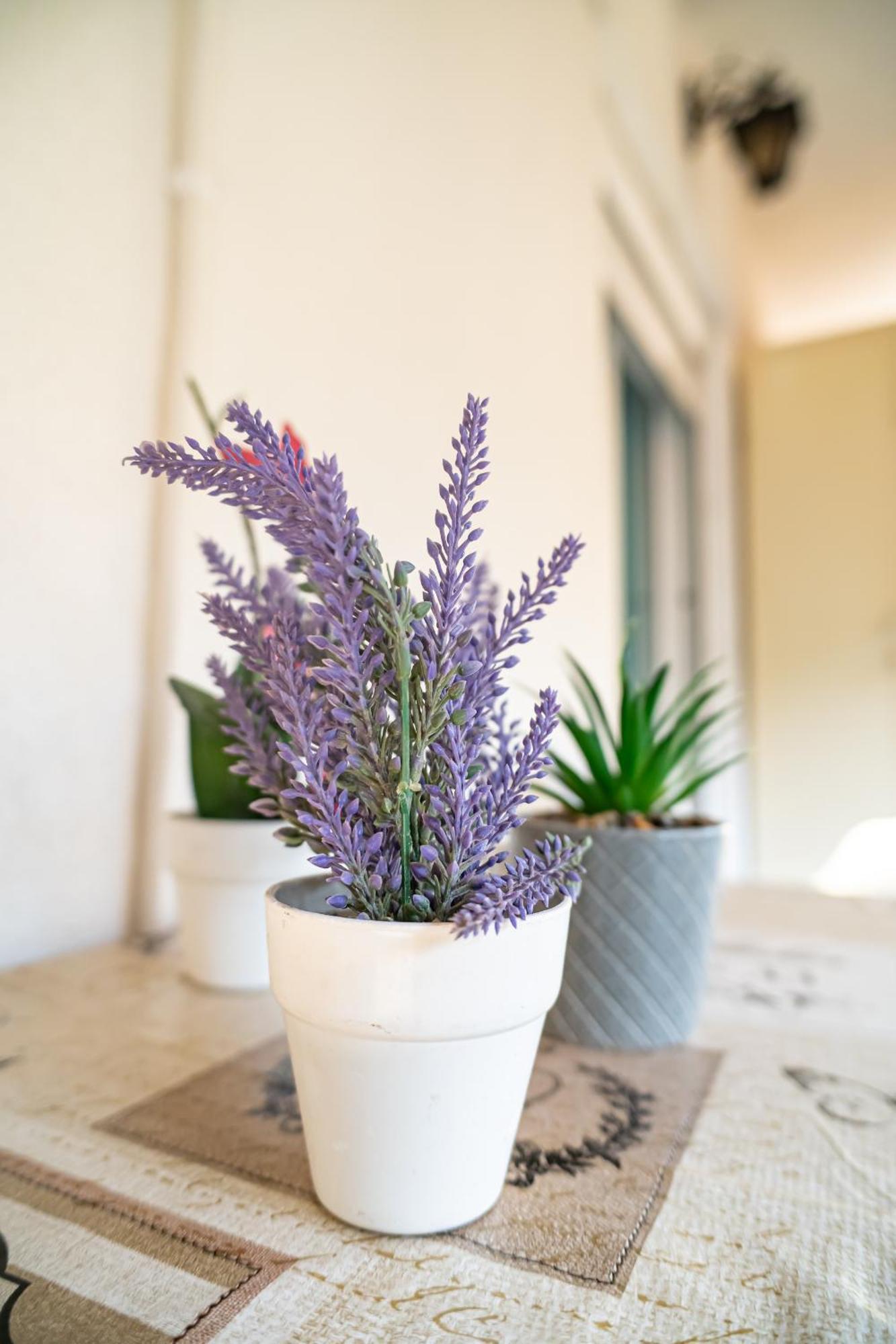 Feel Greek Hospitality #Θ006 Apartment Солун Екстериор снимка